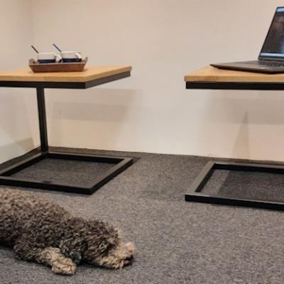 Web Bijzettafels 2 Stuks