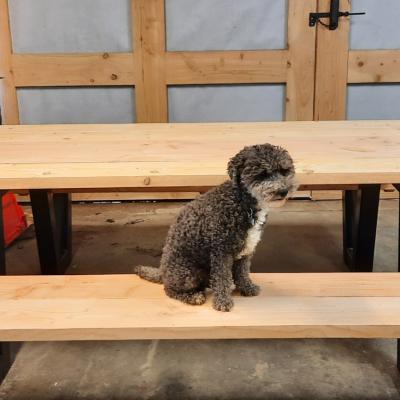 Picknicktafel 2