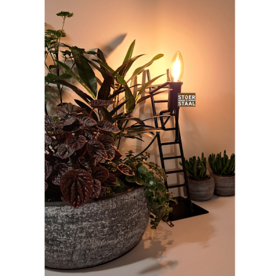 Web Trap Met Plant 1